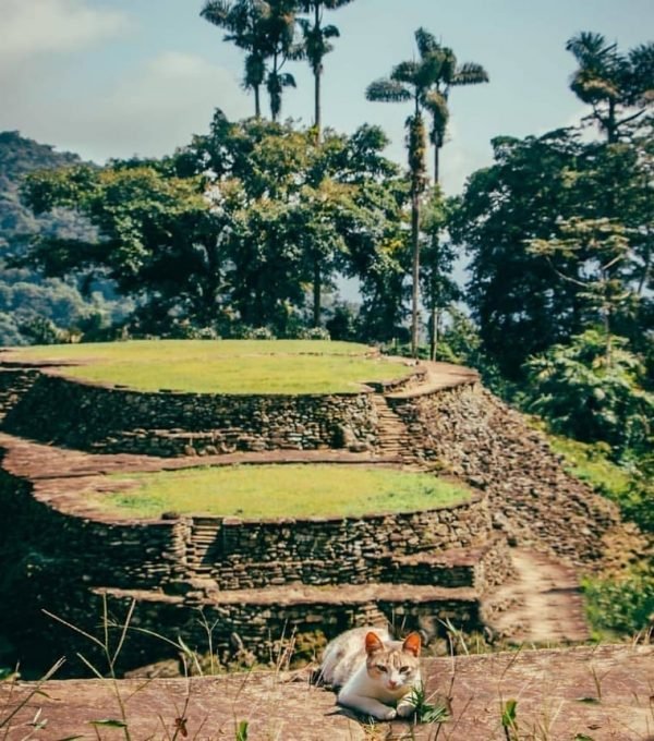 tour ciudad perdida sierra nevada de santa marta