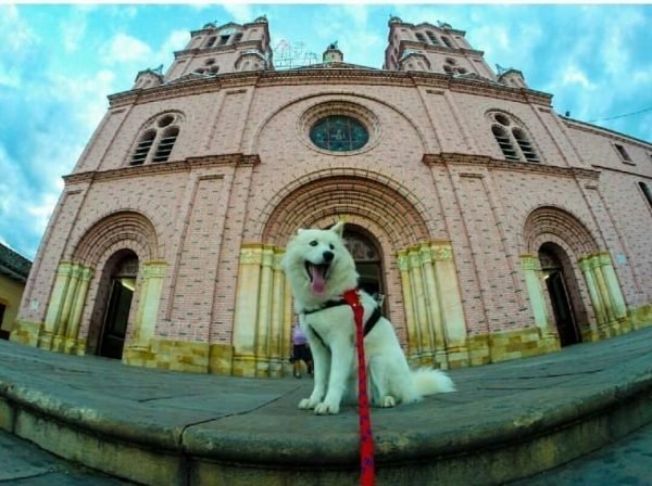 tour lago calima y milagroso de buga