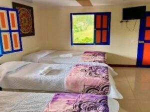 Plan Cafetero 3 noches 4 días