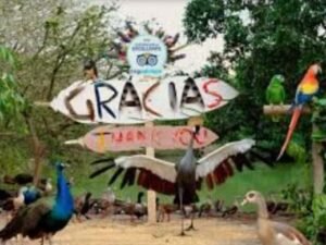aviario playa blanca