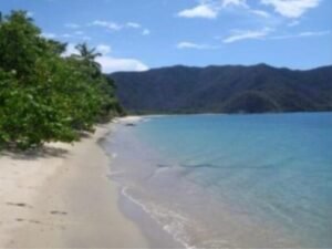 bahia cinto