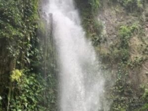 balsaje rio la vieja quimbaya