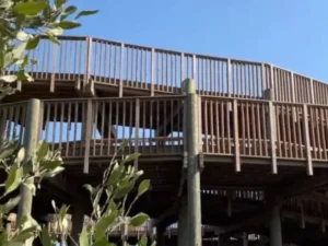 cienaga-de-mallorquin-barranquilla-600x612