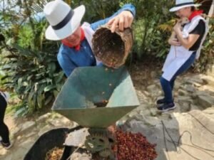tour del caffe o coffe tour