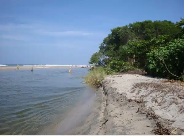 Buritaca Santa Marta - Imagen 3