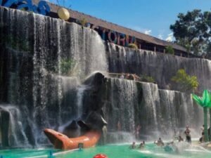 Momentos destacados de la excursión a Hacienda Nápoles