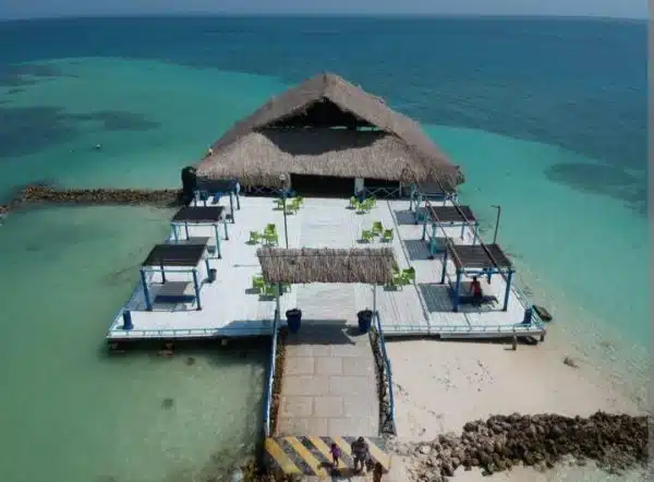 Pasadía Isla Palma - Imagen 4
