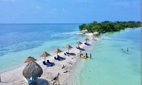 Pasadía Isla Palma - Imagen 2
