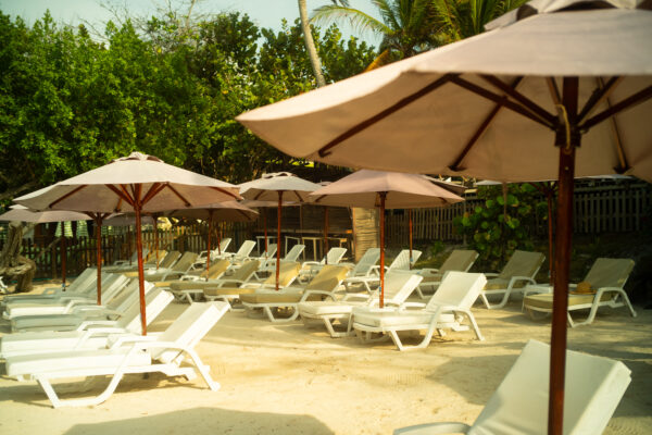 Luxury beach club cartagena - Imagen 7