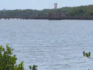 mallorquin-barranquilla-600x557