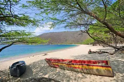 Playa de Bahía Concha: Aguas cristalinas, rodeada de montañas y arena blanca.
