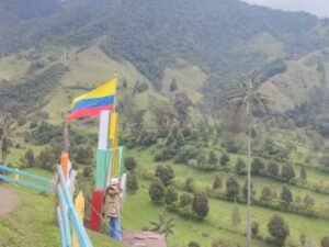 Admira la belleza del Valle de Cocora, el hogar de la palma de cera, el árbol nacional de Colombia.