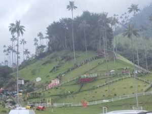 Este valle es un paraíso natural donde podrás disfrutar de la biodiversidad, el paisaje y la cultura cafetera.