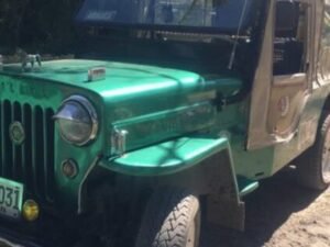 rio la vieja cartago