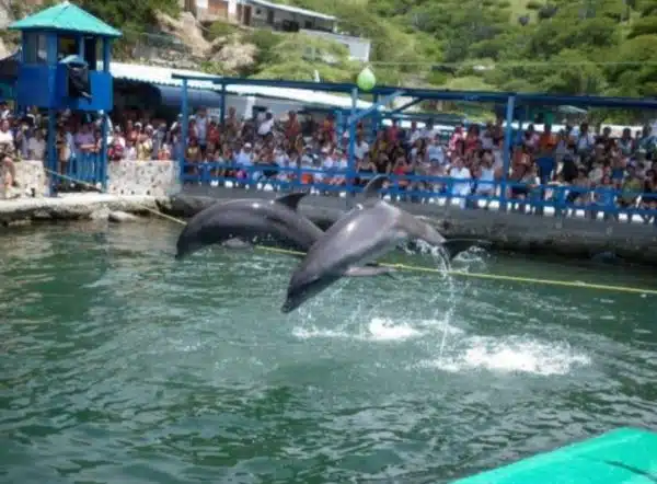 Tour a playa Blanca Santa Marta - Imagen 4
