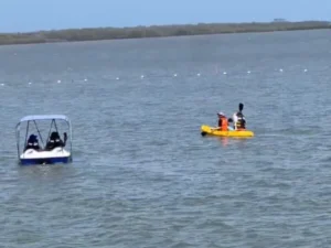 tour-mallorquin-600x577