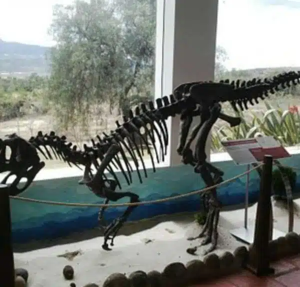 Tour Villa de Leyva desde Bogotá - Imagen 3